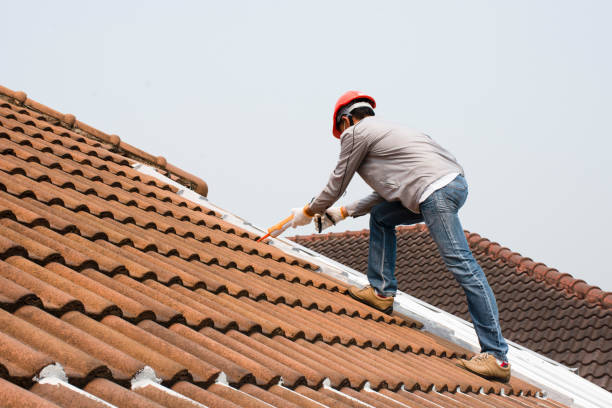 Best Cold Roofs  in Massanetta Springs, VA